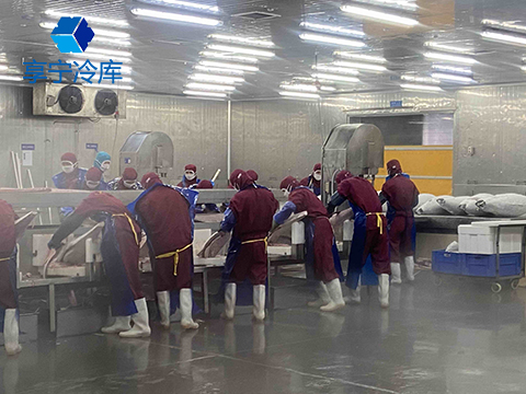零下60金槍魚速凍冷庫安裝