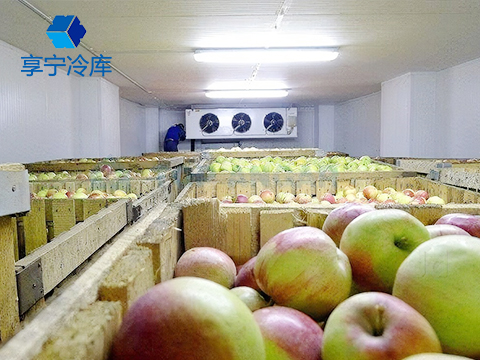 水果保鮮庫--上海果慧農(nóng)業(yè)科技冷庫工程