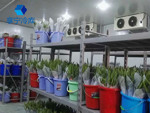 鮮花冷庫--上海分尚網(wǎng)絡(luò)科技（北京）冷庫工程